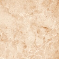 TOILET &amp; FLOOR CLEANERS