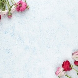 BODY LOTIONS, CREAMS &amp; OILS