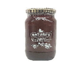 Natures Treasure BEE-2 Pure & Raw Honey, 500gm