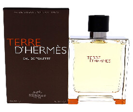Hermes Terre DHermes EDT Spray 100ml 