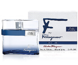 Salvatore Ferragamo Free Time UD Toilet Spray 100ML