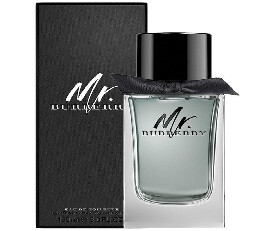 Burberry Mr Burberry Eau de Toilette Spray 100ml