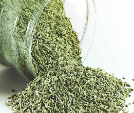 Hi Choice Saunf (Fennel Seed) Barik 200g