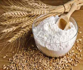 Hi Choice Barley Flour (Jau Aata) 500gm