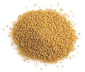 Hi Choice Yellow Mustrad (Mustard Seeds) 100gm