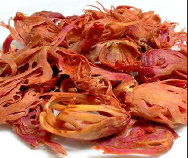 Hi Choice Javitri (Jathipathiri) 25gm