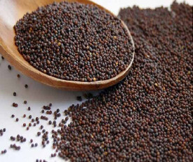 Hi Choice Sarson Dana (Mustard Seeds) 200gm