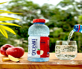 Ocean Fruit Drink Apple Flavour 500ml