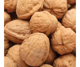 Nutveda Chilean Walnut In Shell 500gm