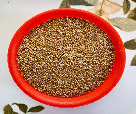 Jewel Farmer Kodo Millet 500gm (Whole Grain)