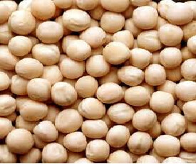 Hi Choice White Matar 500gm