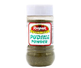 Roopak Pudina Powder 100g (220)