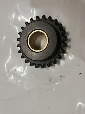 Reverse idler gear