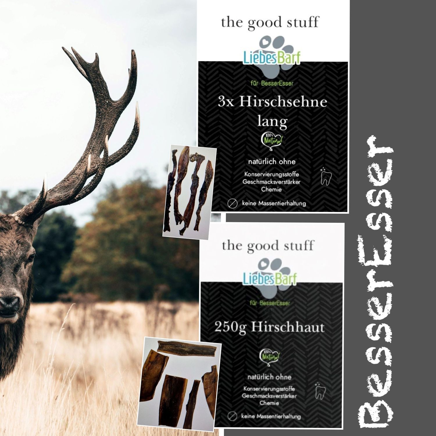 3x Hirschsehne lang