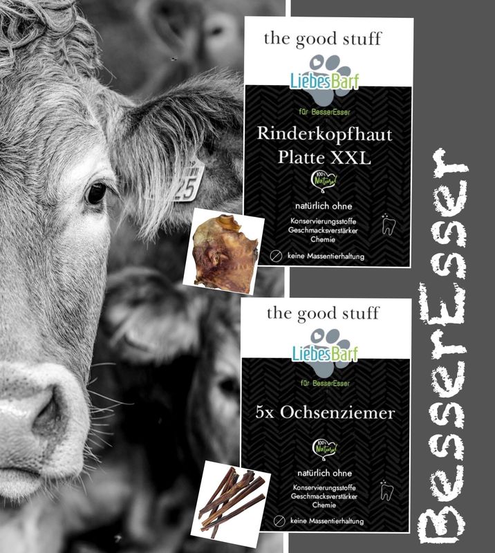 5x Ochsenziemer