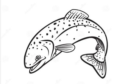 Fisch