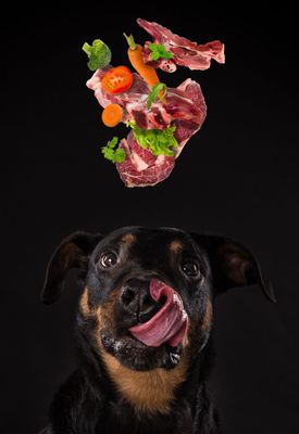 BARF Fleisch