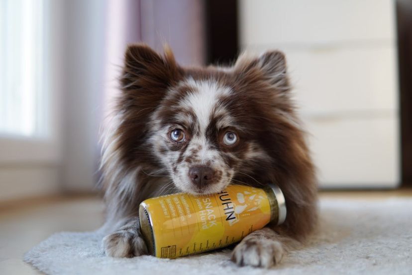 SmoothieDog - Huhn