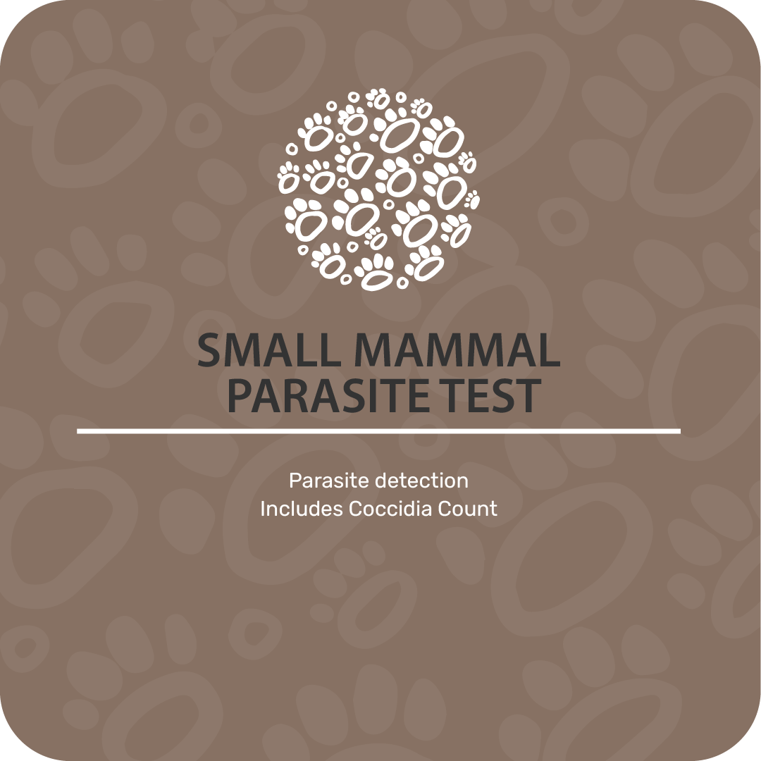 Small Mammal Parasite Test