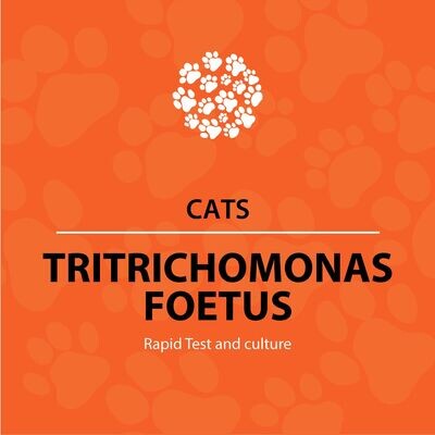 Tritrichomonas foetus (Cats)