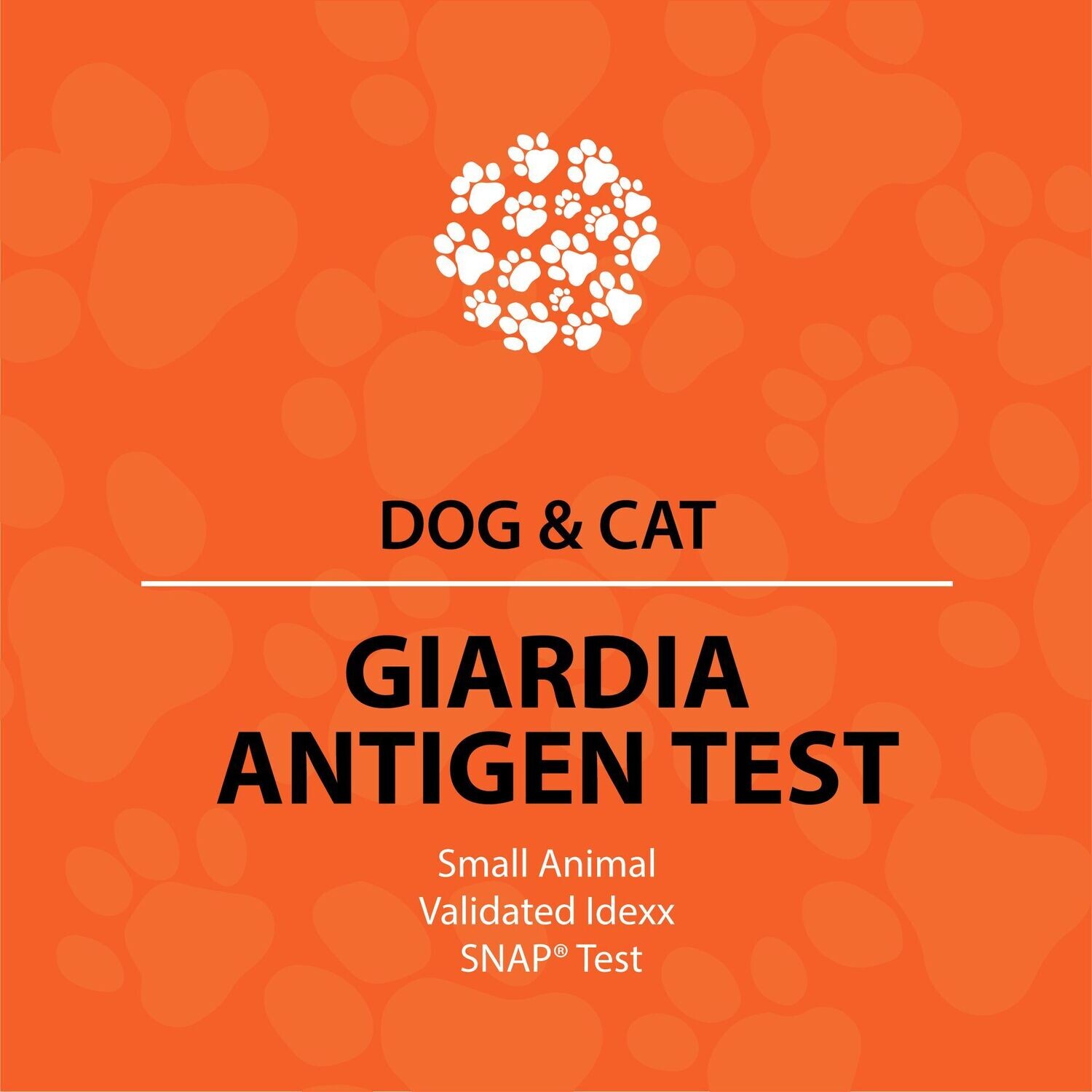 Dog and Cat Giardia Test