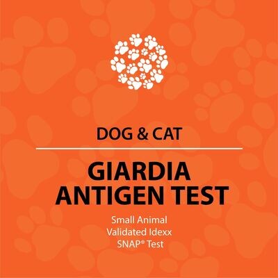Dog and Cat Giardia Test
