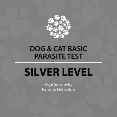 Dog and Cat Silver Test