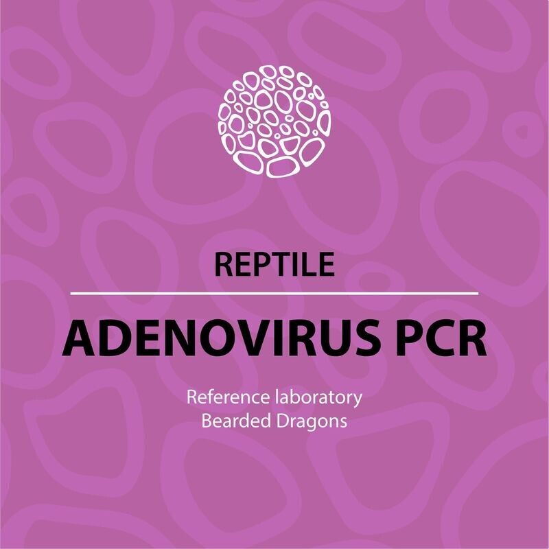 Adenovirus (reference lab)