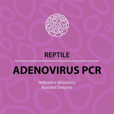PCR - Agamid Adenovirus-1