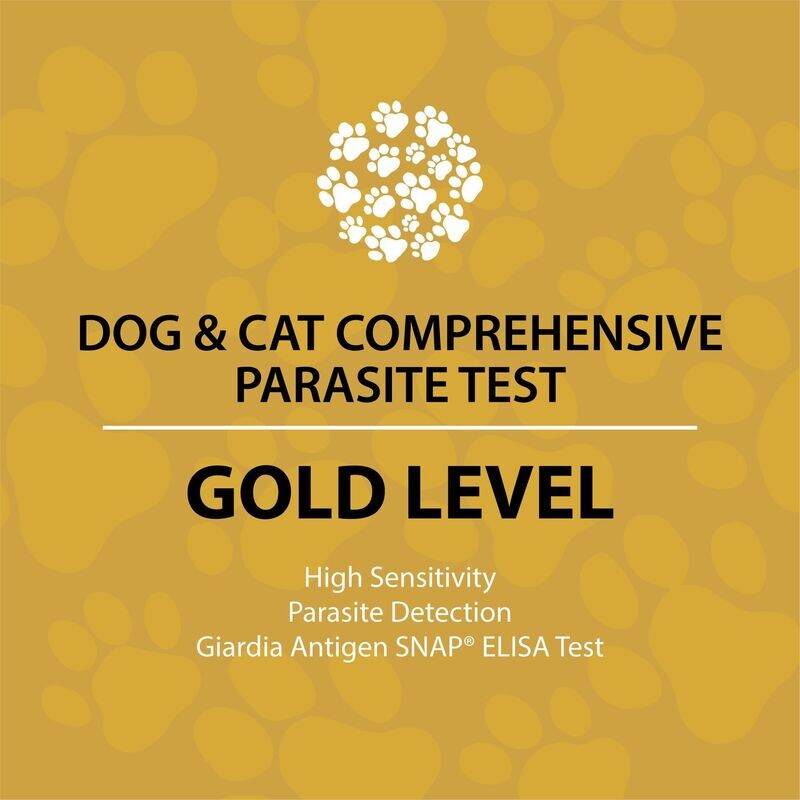 Dog and Cat Gold Test