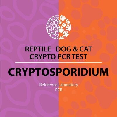 Crypto PCR Test (reference laboratory)