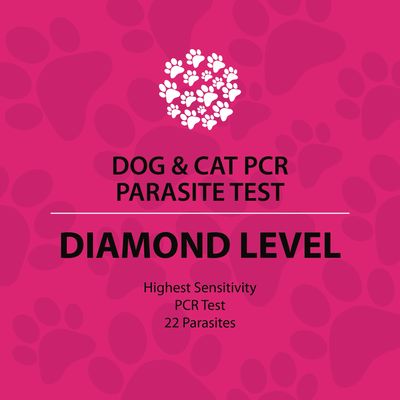 Dog and Cat Diamond Test (reference lab)