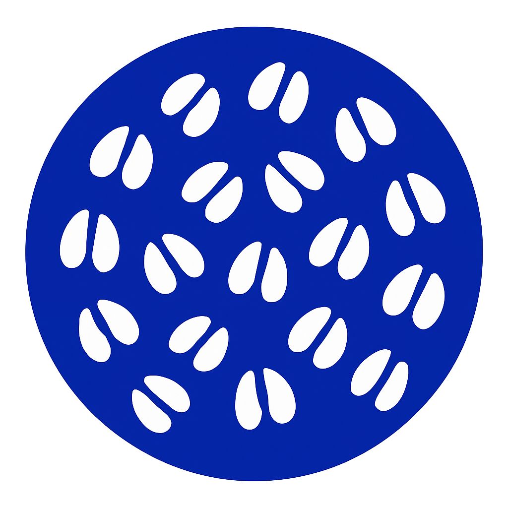 Porcine Respiratory Disease Panel (Virus)