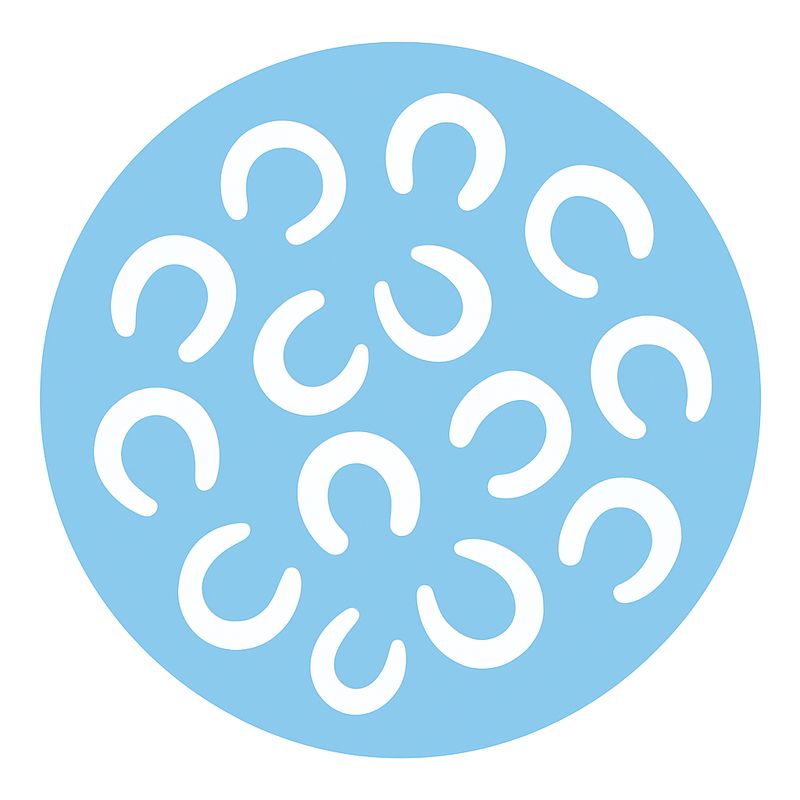 Rotavirus