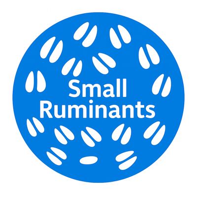 Small Ruminants