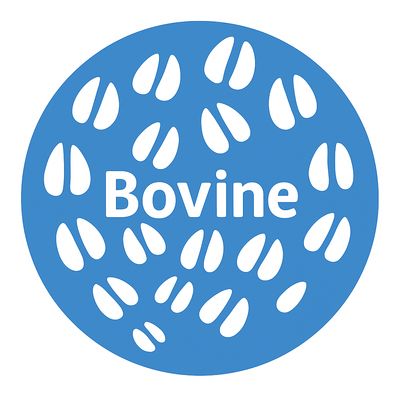 Bovine