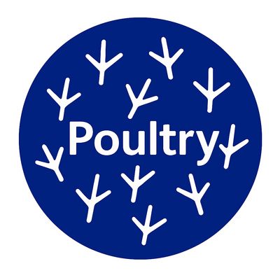 Poultry