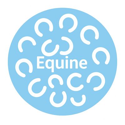 Equine