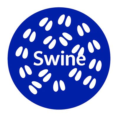 Swine