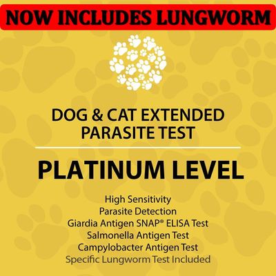 Dog and Cat Platinum Test Dog and Cat Platinum Test