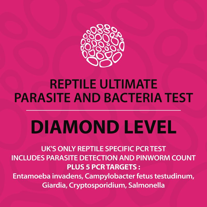 Reptile Diamond Test (PCR) Reptile Diamond Test (PCR)