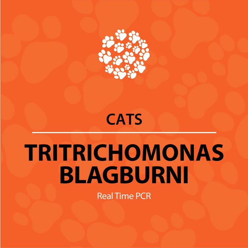 Tritrichomonas Real-Time PCR (qPCR) (Cats)
