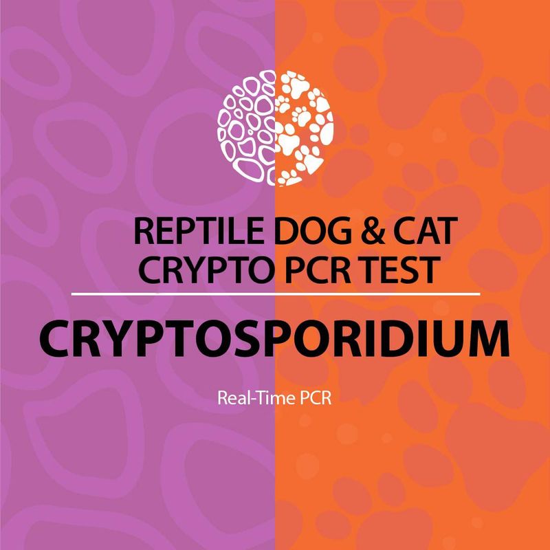 Cryptosporidium Real-Time PCR (qPCR)