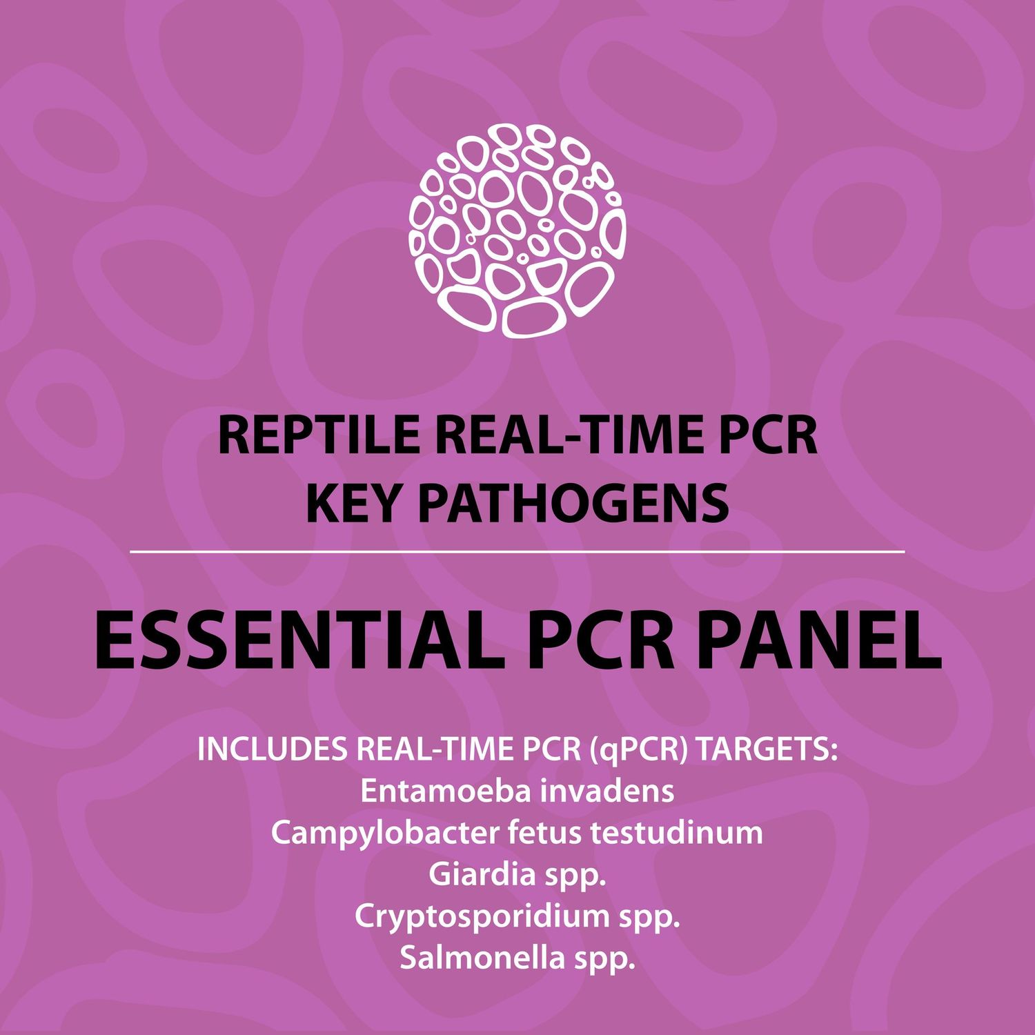 Reptile Essential PCR Panel (PCR)
