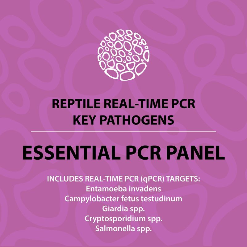 Reptile Essential PCR Panel (PCR)