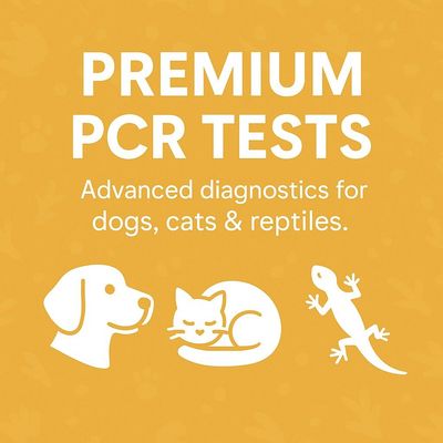 Preminum PCR Profiles