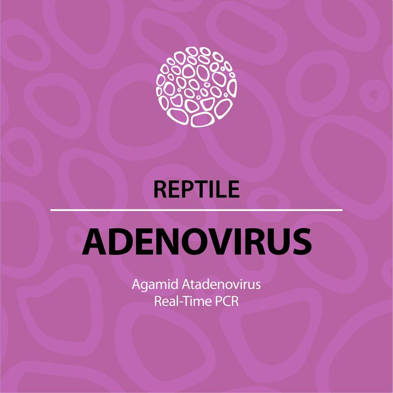 Agamid Adenovirus (qPCR) Agamid Adenovirus (qPCR)