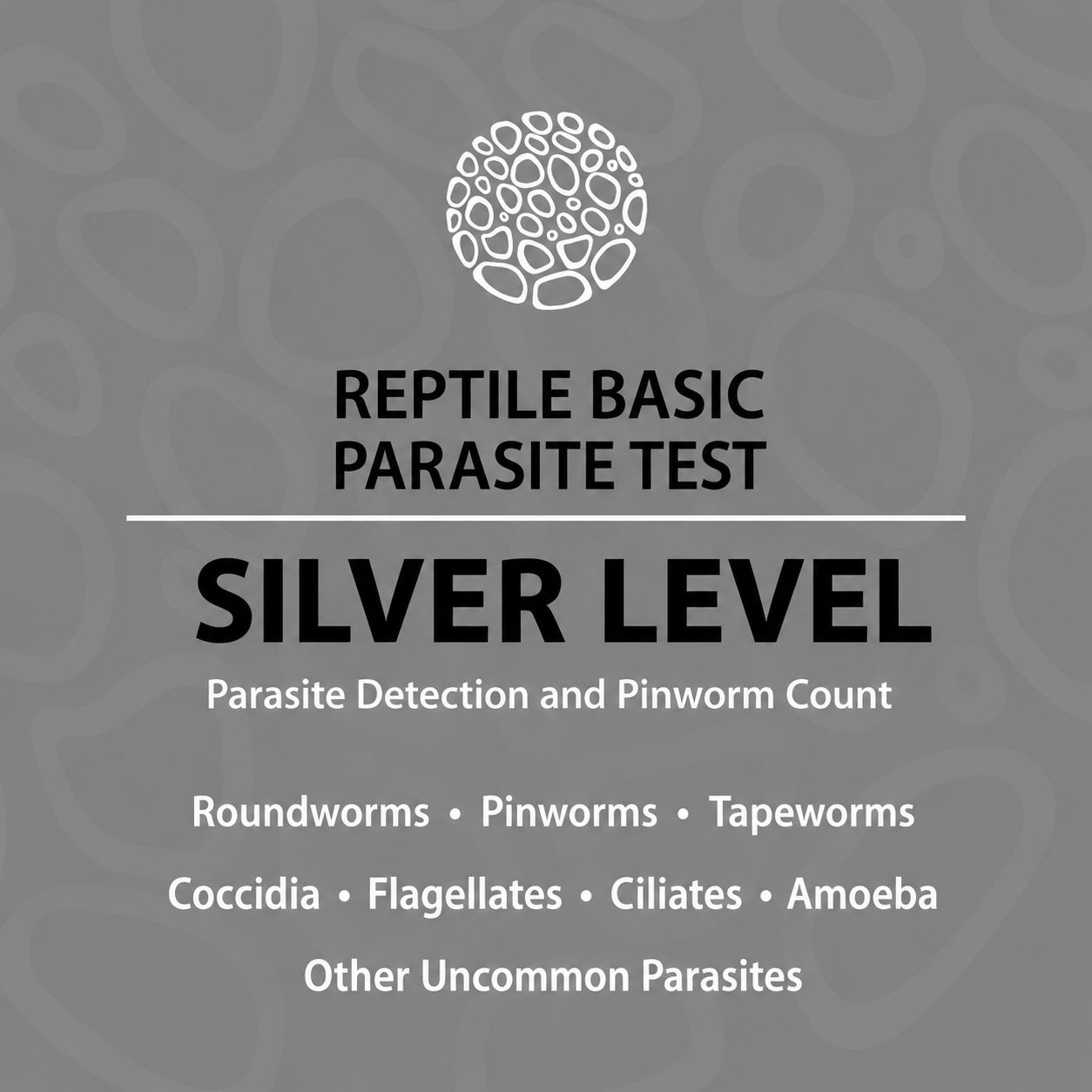 Reptile Silver Test Reptile Silver Test