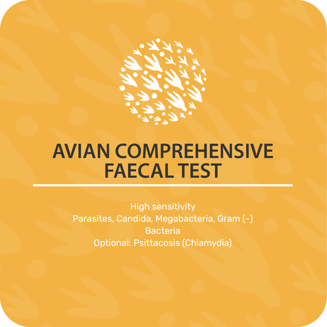 Avian Comprehensive Faecal Test