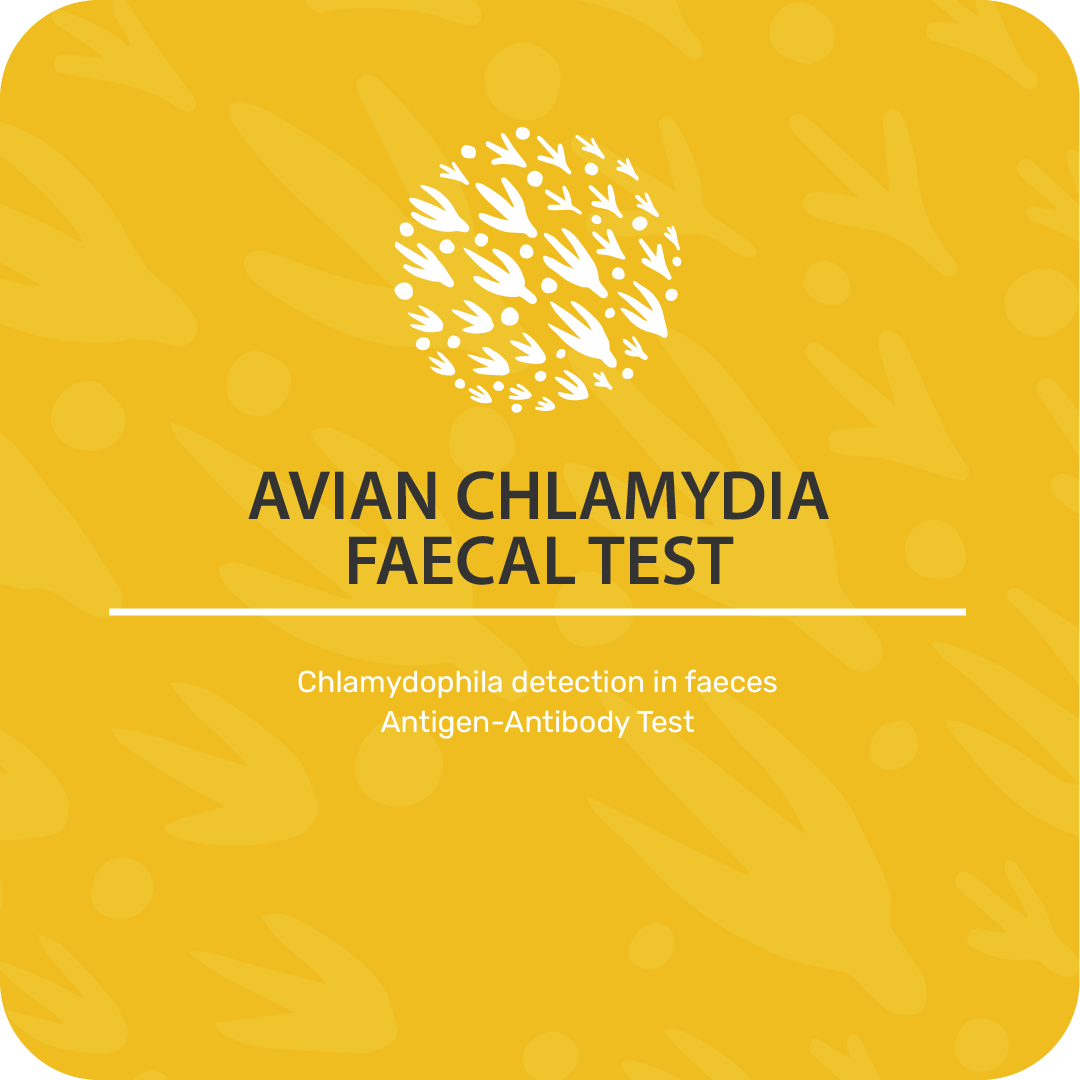 Avian Chlamydia Faecal Test